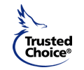 Trusted Choice Agents